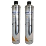 2 Filtri Everpure 4c Per Acqua