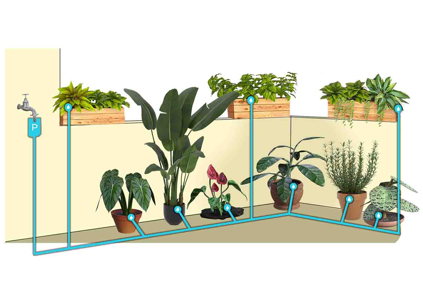 Come realizzare l'impianto di irrigazione a goccia per vasi, giardino,  frutteto