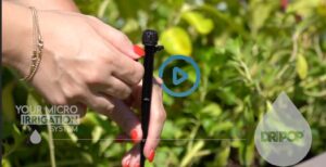 Pawfly 30 Gocciolatori Per Irrigazione A Goccia Regolabili Con Picchetto – 8 Fori, Portata 95 L/H – Adatti A Tubi Da 6 Mm – Per Orto E Giardino - 4